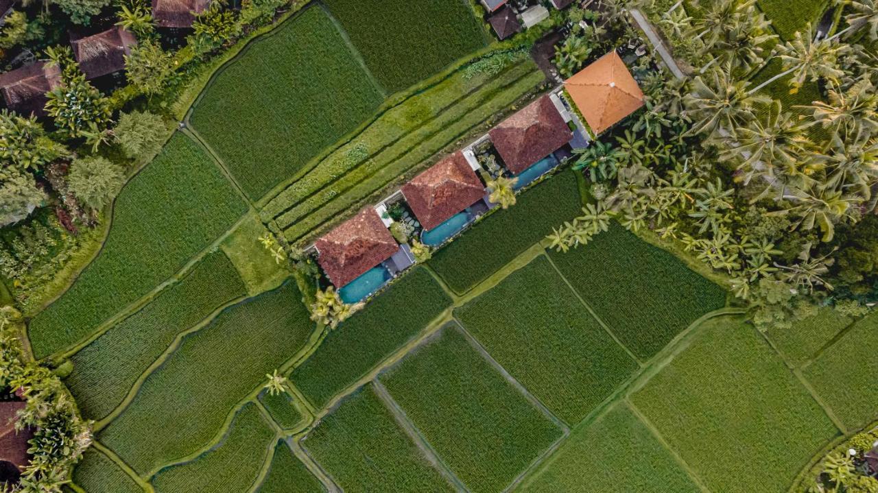 Airsania Ubud Antique Villas Екстериор снимка