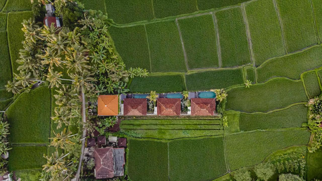 Airsania Ubud Antique Villas Екстериор снимка